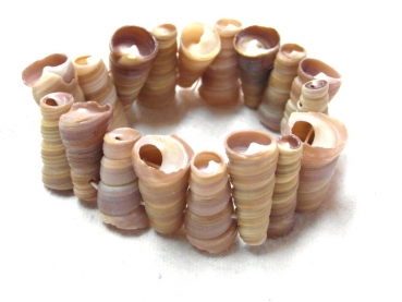 Armband Meeresschnecken braun ca. 25mm breit