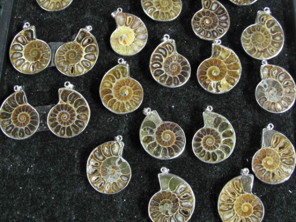 pendant-ammoniten_1151