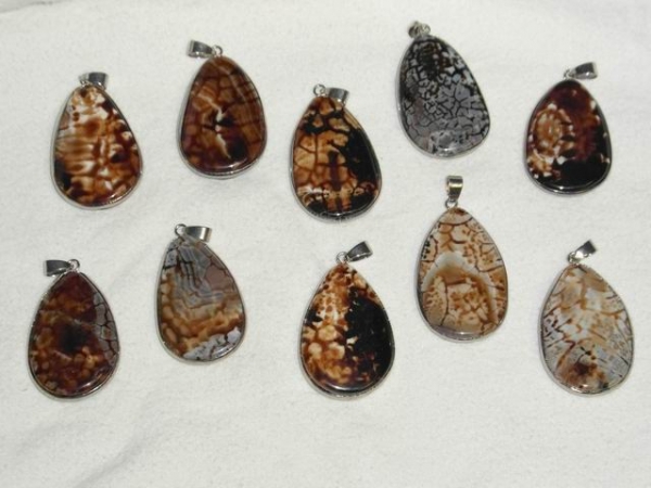 pendant-fossil-palmwood_1153